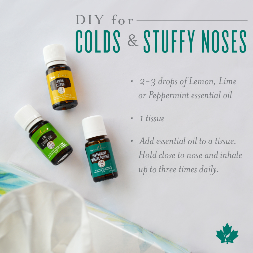 essential oils for colds
